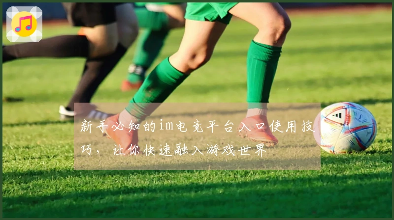新手必知的im电竞平台入口使用技巧，让你快速融入游戏世界