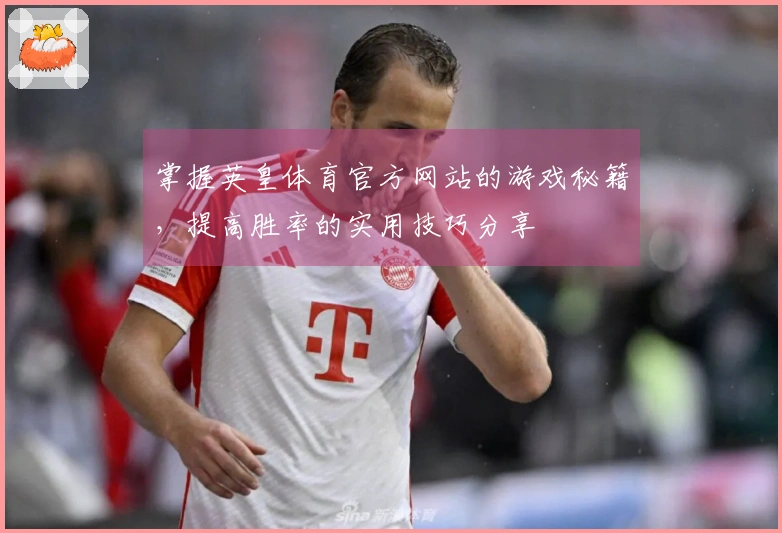 掌握英皇体育官方网站的游戏秘籍，提高胜率的实用技巧分享