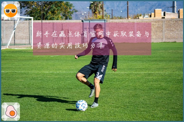 新手在赢点体育官网中获取装备与资源的实用技巧分享