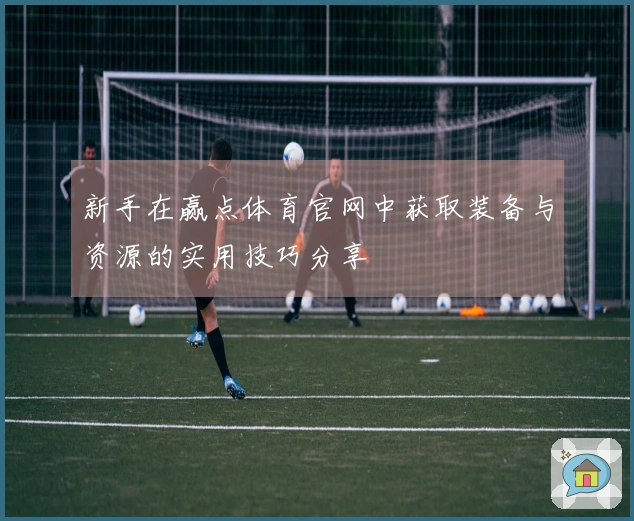 新手在赢点体育官网中获取装备与资源的实用技巧分享